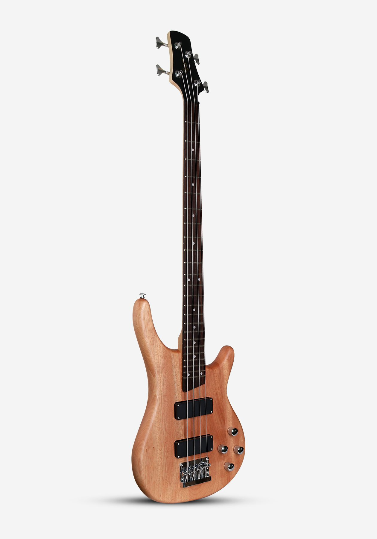 Bass Guitars