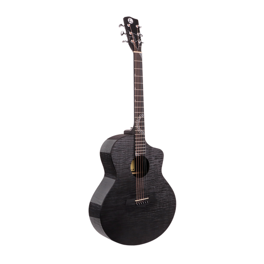 Luxars R2-M Acoustic Guitar
